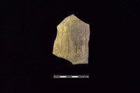 陶片藏品圖，第1張